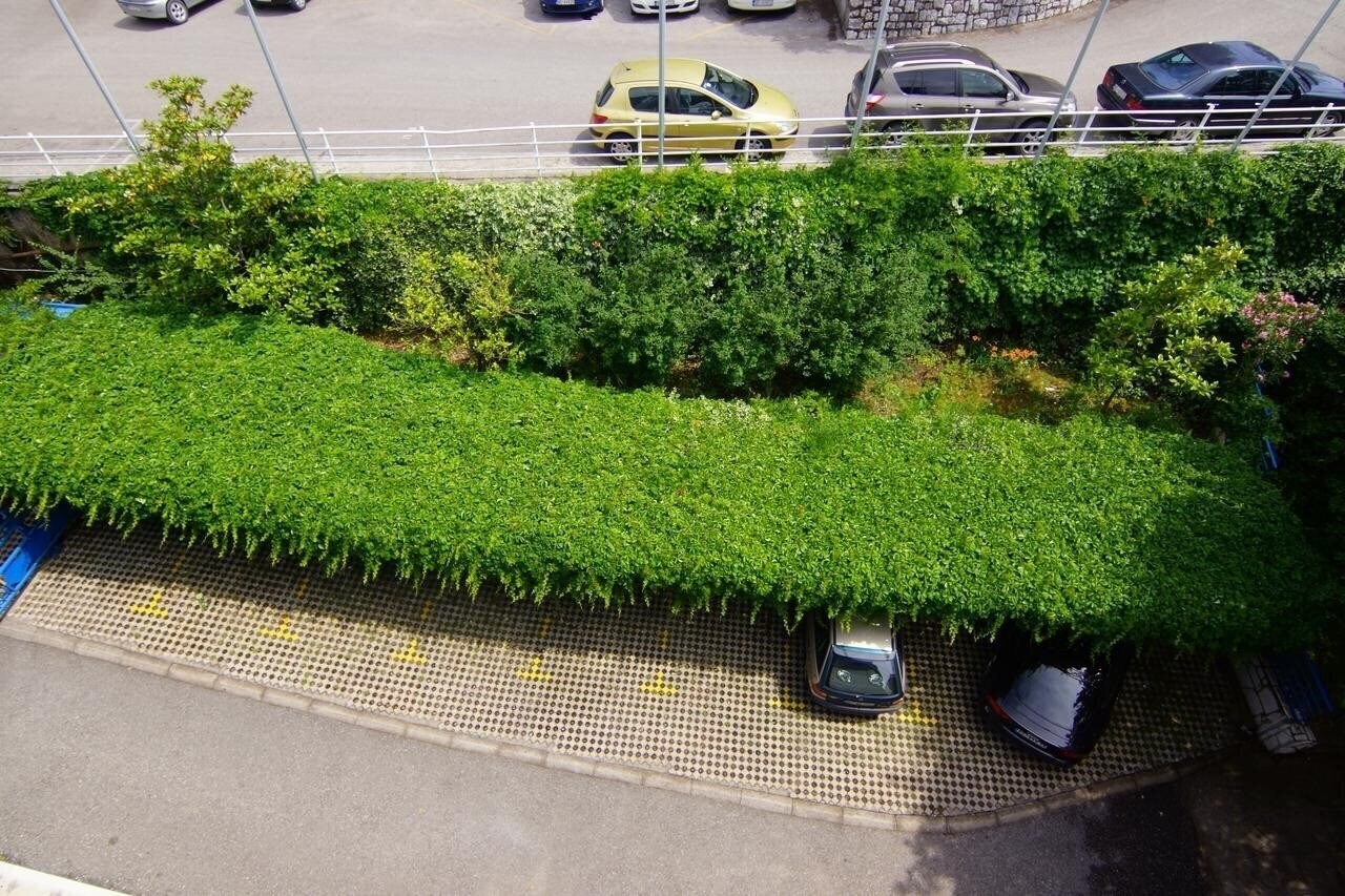 Изображение App Blue Palace 3*